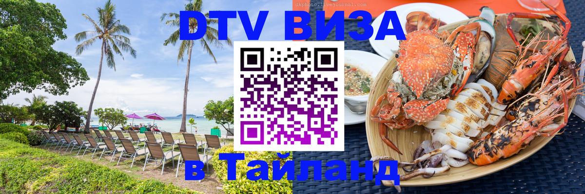 Оформление DTV визы под ключ: стоимость и тарифы, только загранпаспорт - 